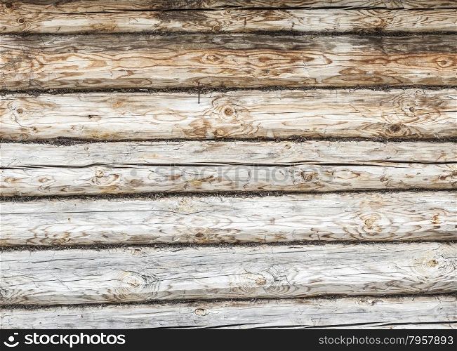 Texture of wood background closeup. The Texture of grunge wood background. Closeup