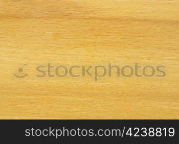 Texture of wood to serve as background