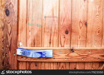 Texture of wooden door. A Particular handle