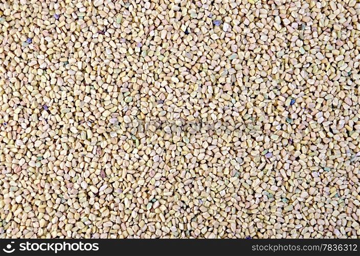 Texture of yellow and pink dry fenugreek seeds