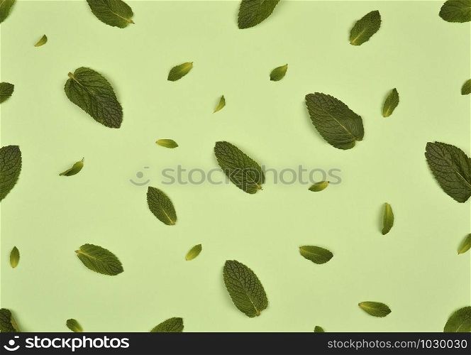 Texture or pattern with ?int leaves isolated on mint background. Set of peppermint leaves. Mint Pattern. Flat lay. Top view.