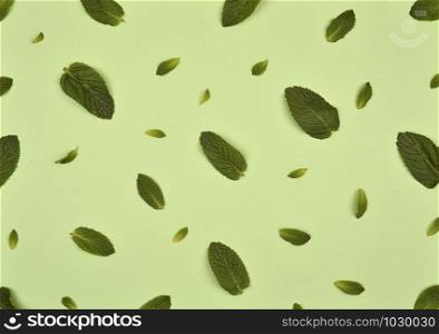 Texture or pattern with ?int leaves isolated on mint background. Set of peppermint leaves. Mint Pattern. Flat lay. Top view.