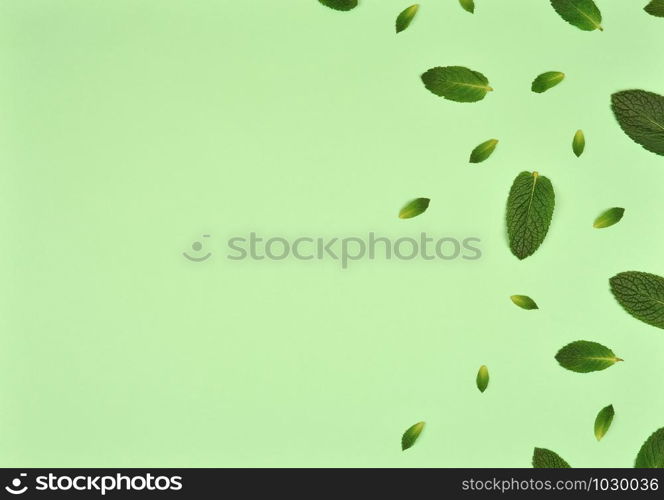 Texture or pattern with ?int leaves isolated on mint background. Set of peppermint leaves. Mint Pattern. Flat lay. Top view. Copy space. Texture or pattern with ?int leaves isolated on mint background. Set of peppermint leaves. Mint Pattern. Flat lay. Top view.