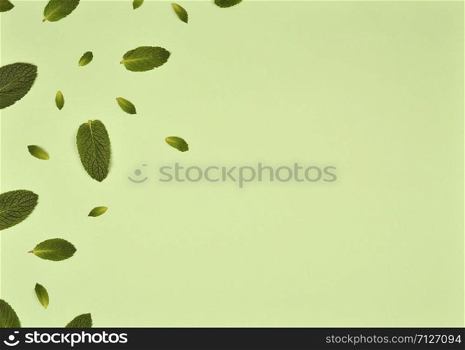 Texture or pattern with ?int leaves isolated on mint background. Set of peppermint leaves. Mint Pattern. Flat lay. Top view. Copy space. Texture or pattern with ?int leaves isolated on mint background. Set of peppermint leaves. Mint Pattern. Flat lay. Top view.
