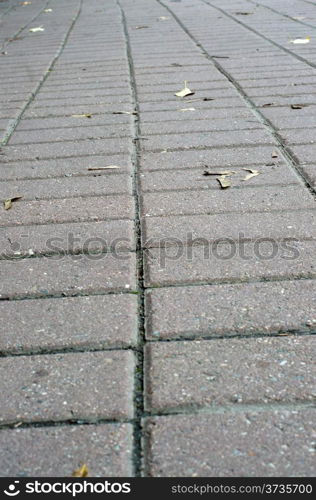 Texture path of stone tiles with autumn leaves