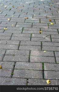 Texture path of stone tiles with autumn leaves