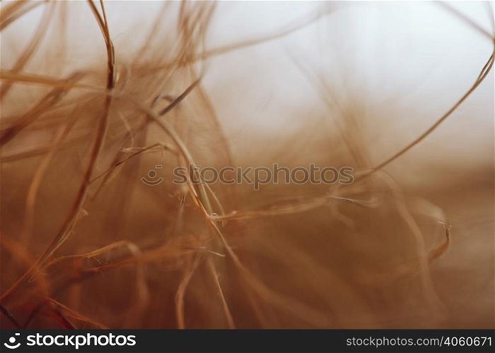 texture waving brown fibers