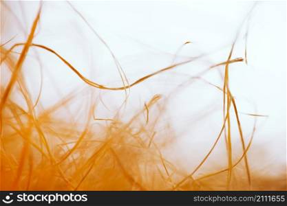 texture waving orange fibers