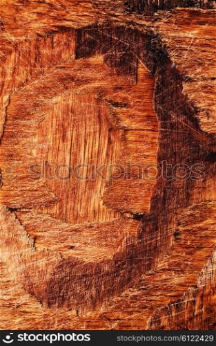 textured background of the old old tree in vintage style. Old wooden texture
