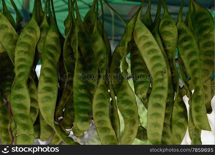 thai fegetable on a market near the town of rawai on the Phuket Island in the south of Thailand in Southeastasia.&#xA;&#xA;