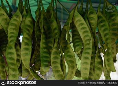 thai fegetable on a market near the town of rawai on the Phuket Island in the south of Thailand in Southeastasia.&#xA;&#xA;