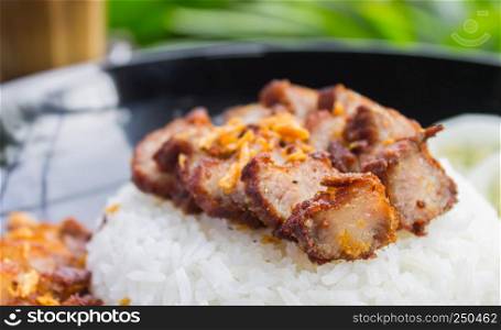 Thai Food Fried Pork with Garlic and Cucumber and Latte Coffee on Green Tree Background. Thai Food Fried Pork Steak with Garlic and Latte Coffee in food and drink category