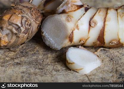 thai kitchen food, Galangal herb used in cooking