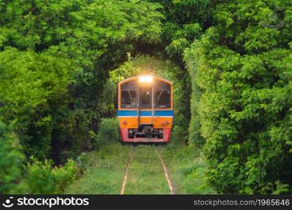 Thai local train on railway with green trees tunnel corridor, Bangkok, Thailand. Way through national park garden in summer season. Natural landscape background in transportation concept.