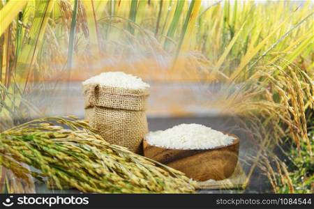 Thai rice white on bowl and the sack / raw jasmine rice grain with ear of paddy field background agricultural products for food in Asian