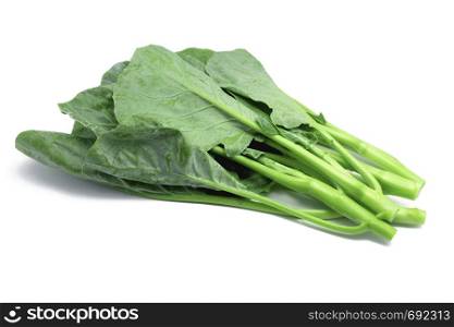 Thai style kale - Green kale isolated on white background. File contains clipping paths so it is easy to work.