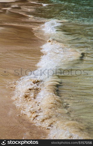 thailand kho phangan bay abstract of a gold in water south china sea