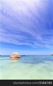 thailand kho tao bay isle white beach rocks in asia and south china sea