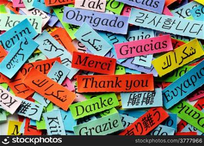 Thank You Word Cloud printed on colorful paper different languages