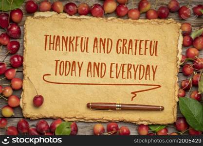 thankful and grateful, today and everyday - Thanksgiving inspirational slogan, handwriting on a handmade paper framed by red crab apples
