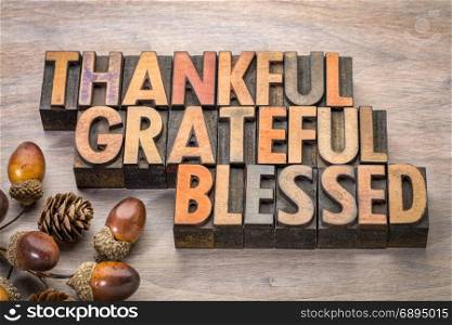 thankful, grateful, blessed - Thanksgiving theme - word abstract in vintage letterpress wood type with acorn and cone decoration