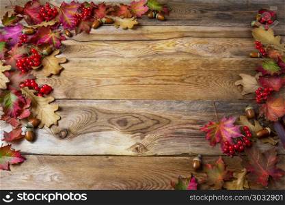 Thanksgiving background with berries, acorn and fall oak leaves. Thanksgiving greeting with seasonal symbols. Copy space.. Thanksgiving background with berries, acorn and fall oak leaves