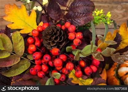 Thanksgiving background with cones, yellow flowers, red rowan berries and oak leaves, top view