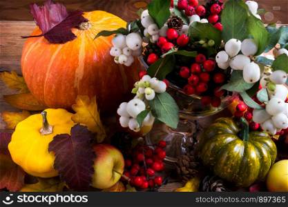 Thanksgiving background with snowberry and rowan berries in glass vase, pumpkins, apples, cones on the rustic wooden background, copy space