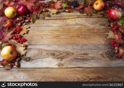 Thanksgiving concept with apples, acorns, berries and fall leaves. Thanksgiving background with seasonal berries and fruits. Fall concept.. Thanksgiving concept with apples, acorns, berries and fall leave