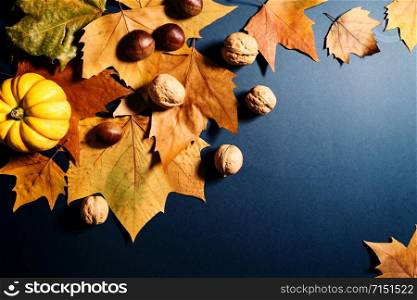 Thanksgiving Day with maple leaves, nut and pumpkin