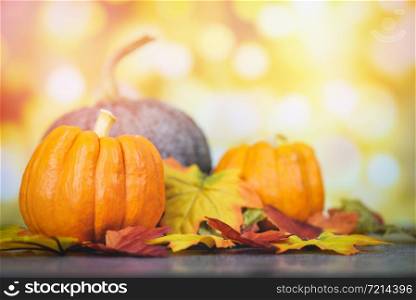 Thanksgiving dinner and autumn decoration and light background festive bokeh / Autumn table setting with pumpkins holiday halloween