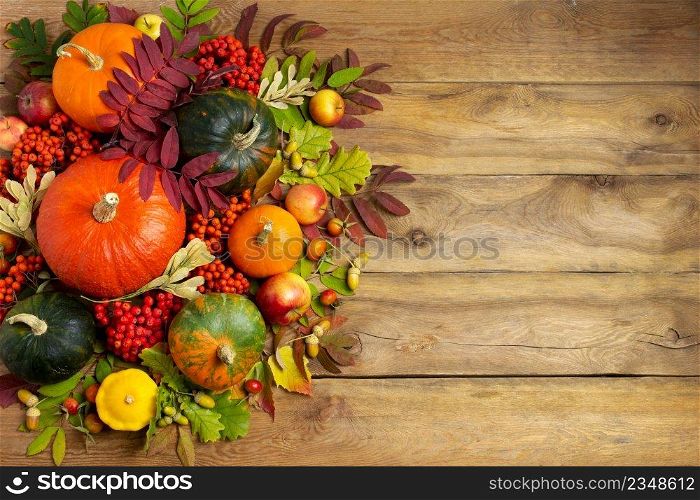 Thanksgiving green, orange pumpkins, rowan berry, leaves, yellow squash on the rustic wooden background, top view