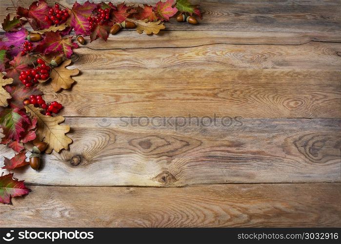 Thanksgiving greeting with berries, acorn, fall leaves on wooden background. Thanksgiving background with seasonal symbols. Copy space.. Thanksgiving greeting with berries, acorn, fall leaves on woode