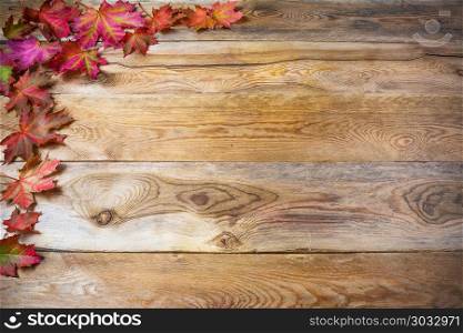 Thanksgiving greeting with fall maple leaves on rustic wooden background. Thanksgiving background with seasonal vegetables and fruits. Copy space. Thanksgiving greeting with fall maple leaves on rustic wooden b