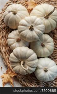 Thanksgiving or harvest flatlay with pumpkins on grey concrete background. Autumn fall concept. Holiday decor. 