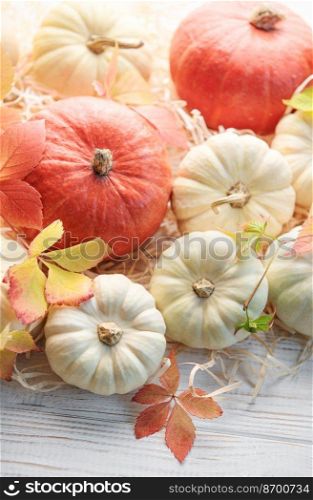 Thanksgiving or harvest flatlay with pumpkins on white wooden  background. Autumn fall concept. Holiday decor.