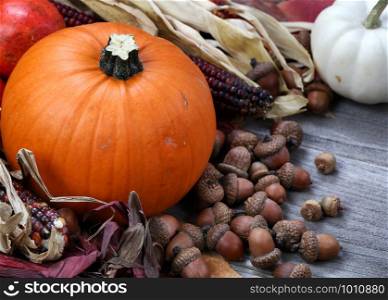 Thanksgiving Pumpkin with acorns and corn on rustic wood