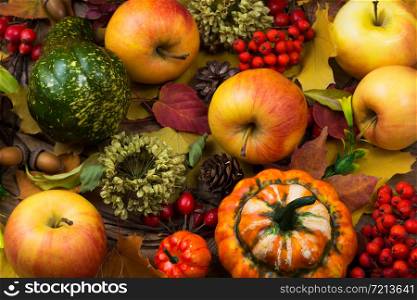 Thanksgiving rustic background with pumpkin, apple, rowan berries and fall leaves