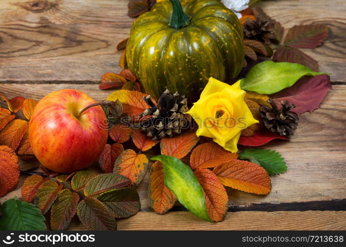 Thanksgiving rustic background with pumpkin, pine cones, apple and yellow roses