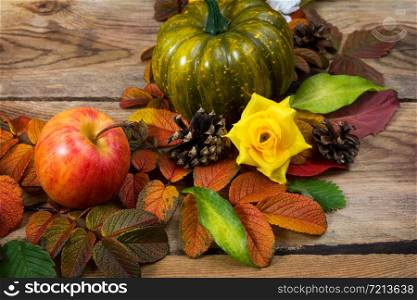 Thanksgiving rustic background with pumpkin, pine cones, apple and yellow roses