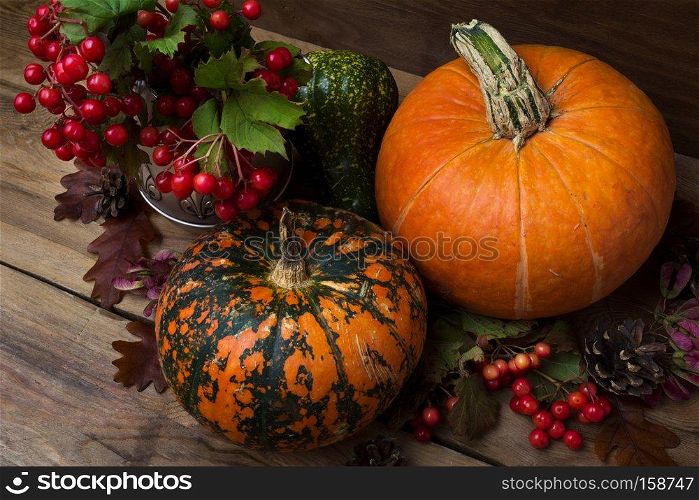 Thanksgiving rustic decor with red viburnum berry in the antique silver kettle, pine cohes and two orange pumpkins