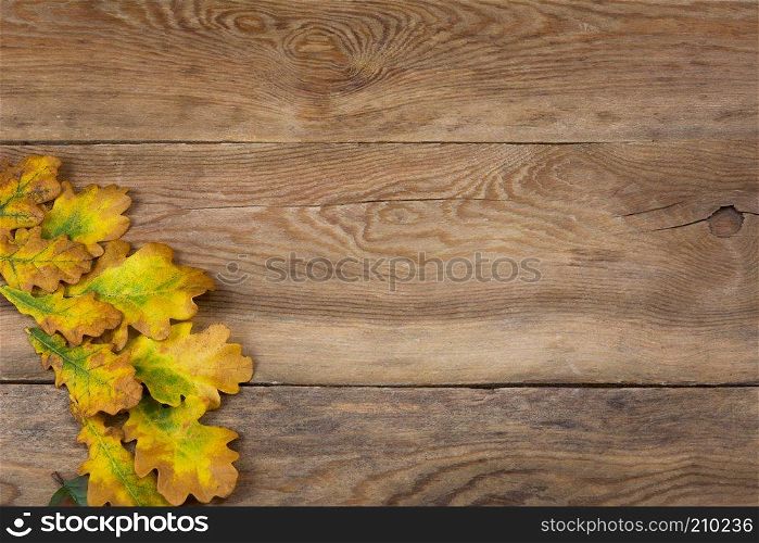 Thanksgiving rustic greeting background with yellow green oak leaves, copy space