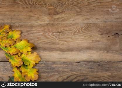 Thanksgiving rustic greeting background with yellow green oak leaves, copy space
