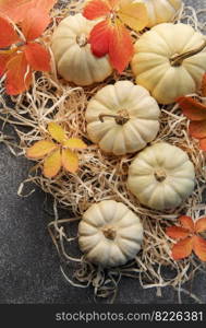 Thanksgiving season still life with small pumpkins and fall leaves over grey concrete  background