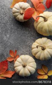 Thanksgiving season still life with small pumpkins and fall leaves over grey concrete  background