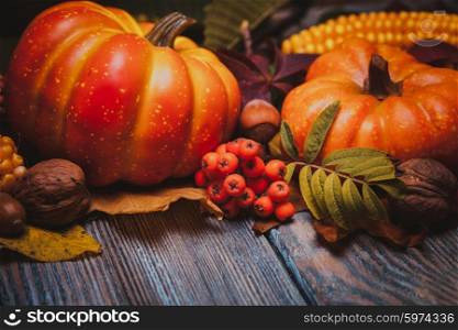 Thanksgiving still life - berries, nuts, corn and pumpkins on a table