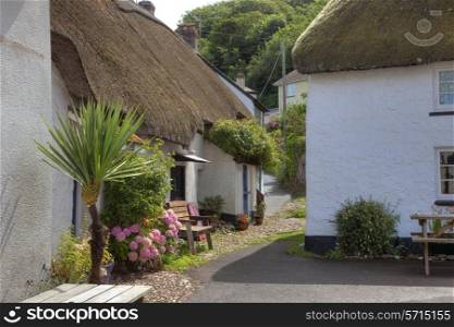 Thatched cottages at Hope Cove, Devon, England.