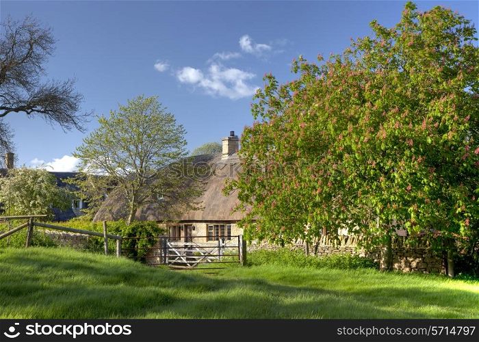 Thatched country cottage at Broad Campden, Cotswolds, Gloucestershire, England.