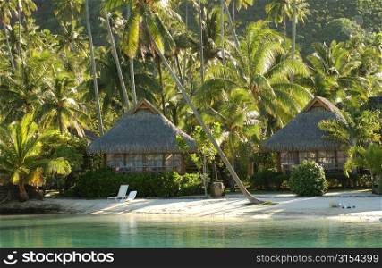Thatched houses on a beach, Moorea, Tahiti, French Polynesia, South Pacific