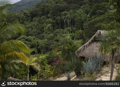 Thatched hut in tropical rainforest, Yelapa, Jalisco, Mexico